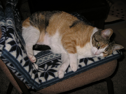 hadley-chair-0684