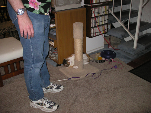 hadley-shoelace-0348